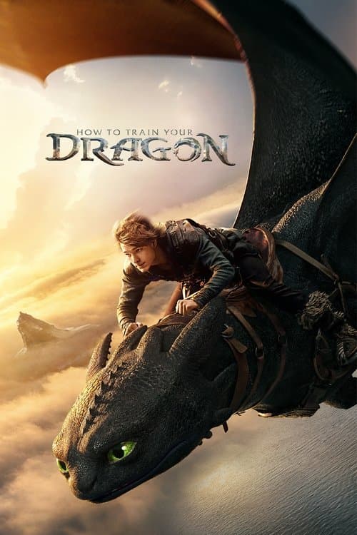 How to Train Your Dragon cover image