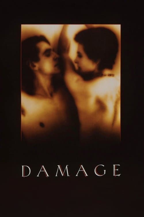 Damage cover image