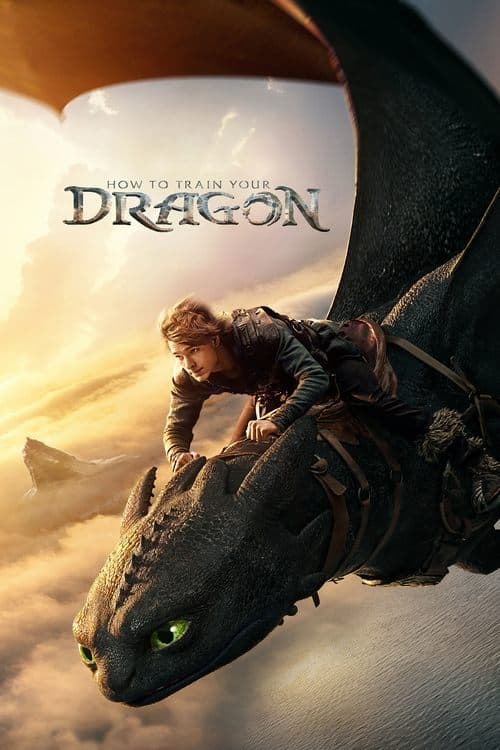 How to Train Your Dragon cover image