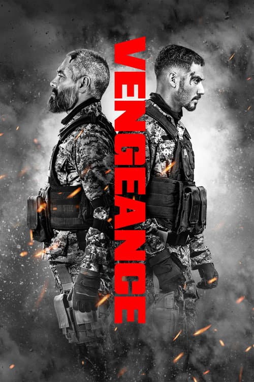 Vengeance cover image